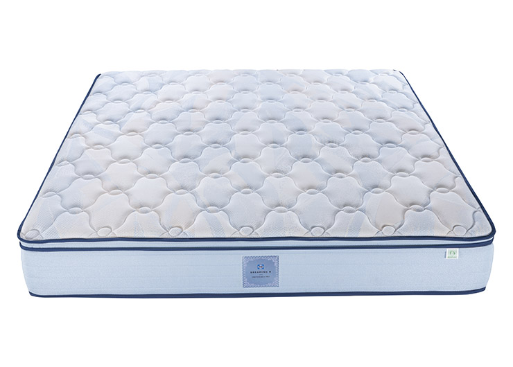 dc6792207dc4fda0c1b8bcd636854b43